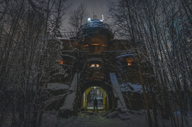 Забытый исполин фото превью