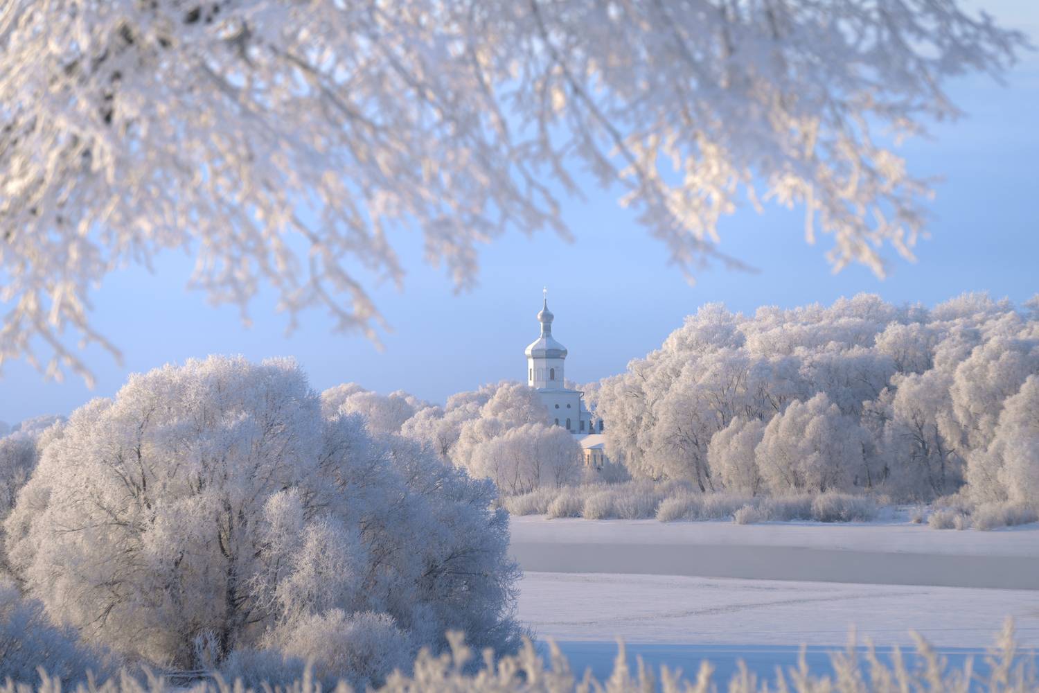 новгородская область, великий новгород, юрьево,, Фабричный Роман