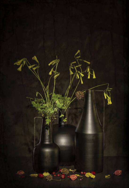 Bodegón фото превью