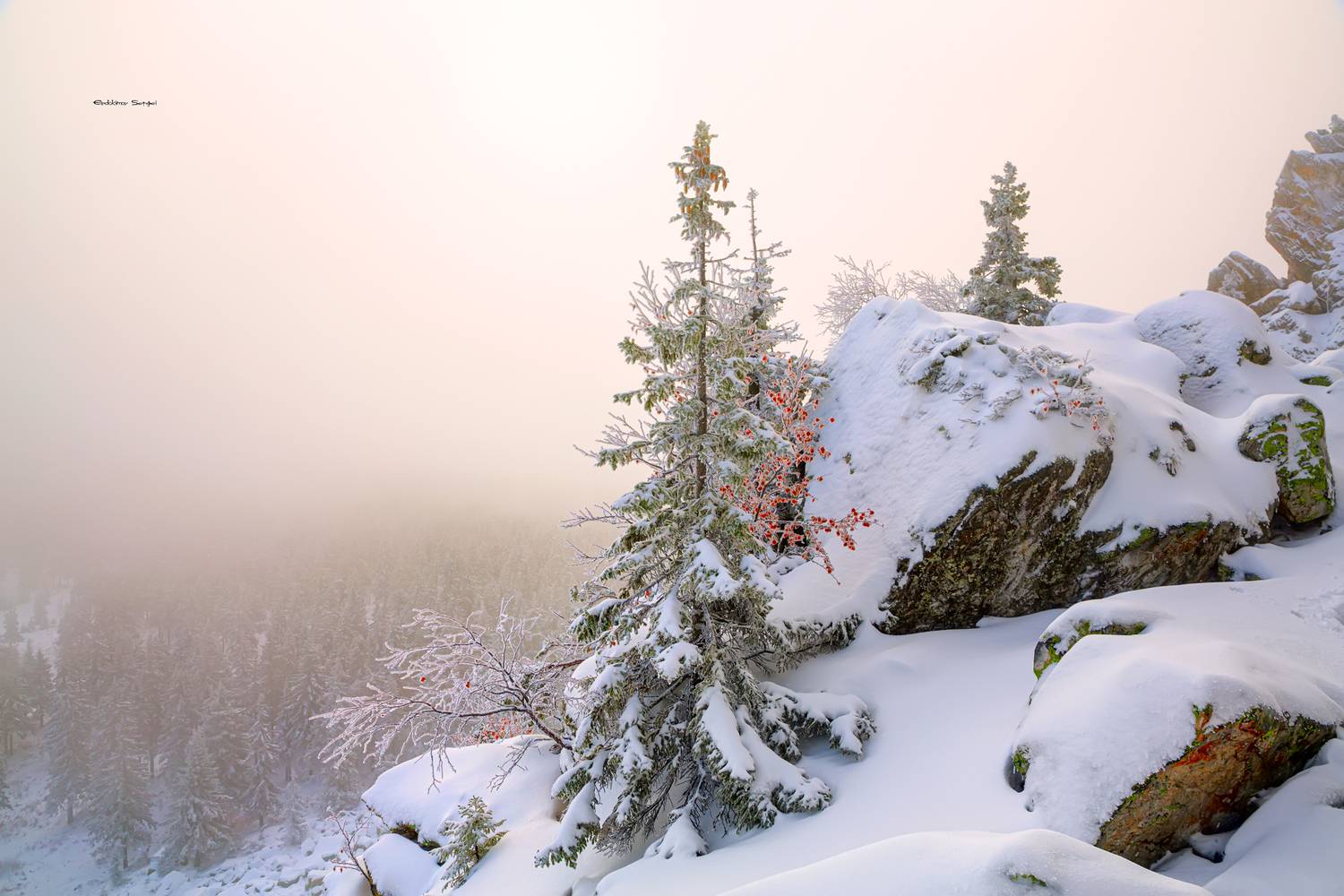 , Евдокимов Сергей