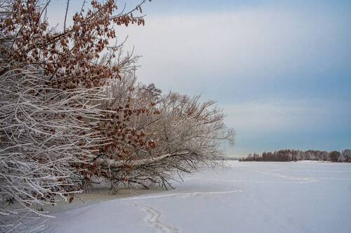 Зимний пейзаж.