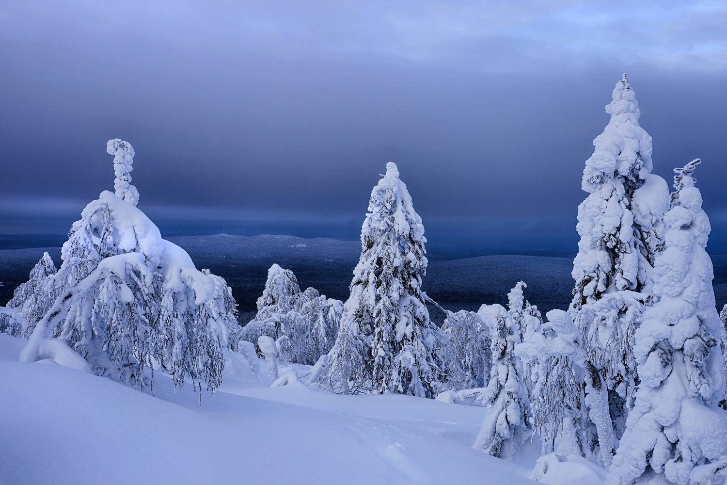 , Павел Мартюшев