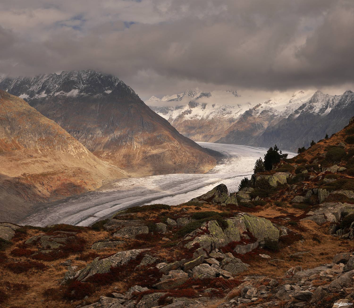 swiss, Матвеев Николай