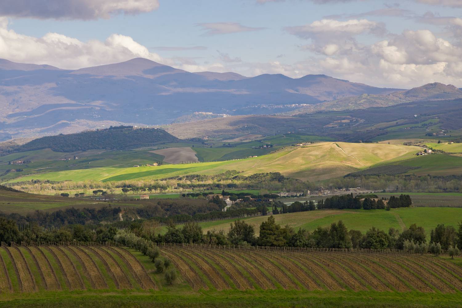 , Алекс Римский