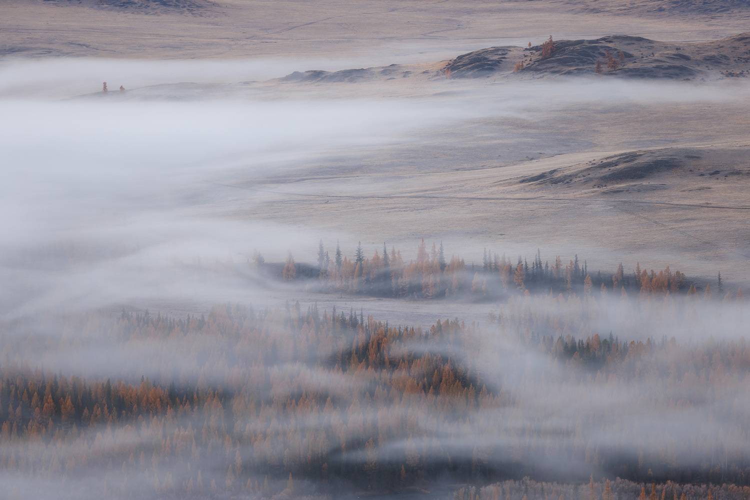 , Морозов Сергей