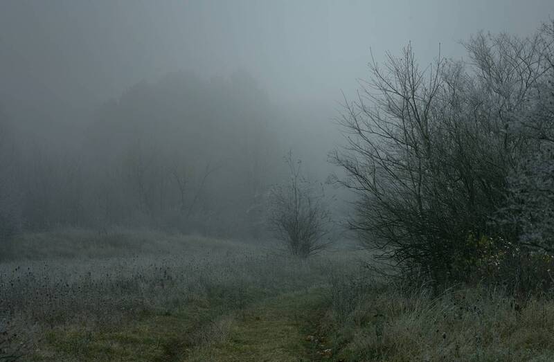 зима туман лес утро Туманное утро фото превью