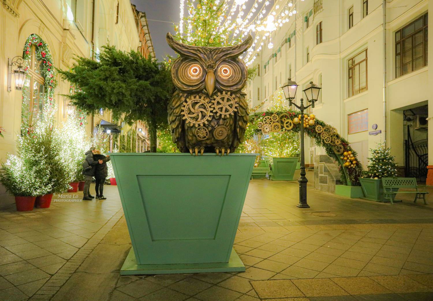 москва огнибольшогогорода зимняясказка сказкавгороде рождество проектзимавмоскве рождественскоенастроение снег рождественскиеогни новогодниеогни зимавгороде механикачудес сова ели механика ель совы паровоз плюшевыймедведь, Maria Lo