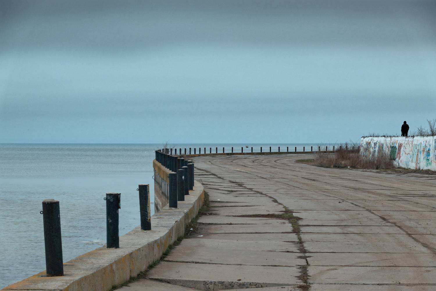 , Какоткин Роман