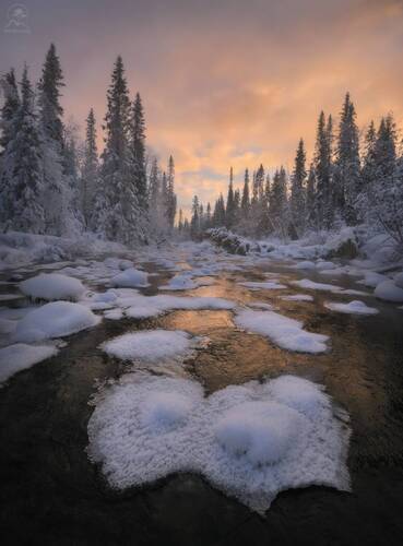 Утром на речке