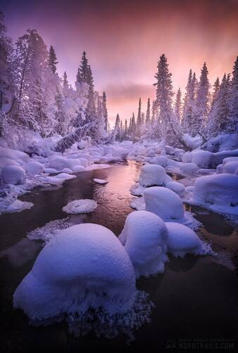 Морозный день на Кольской речке