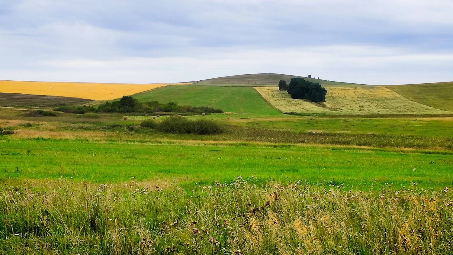 , Всеволод Сахновский