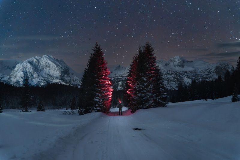 фото превью