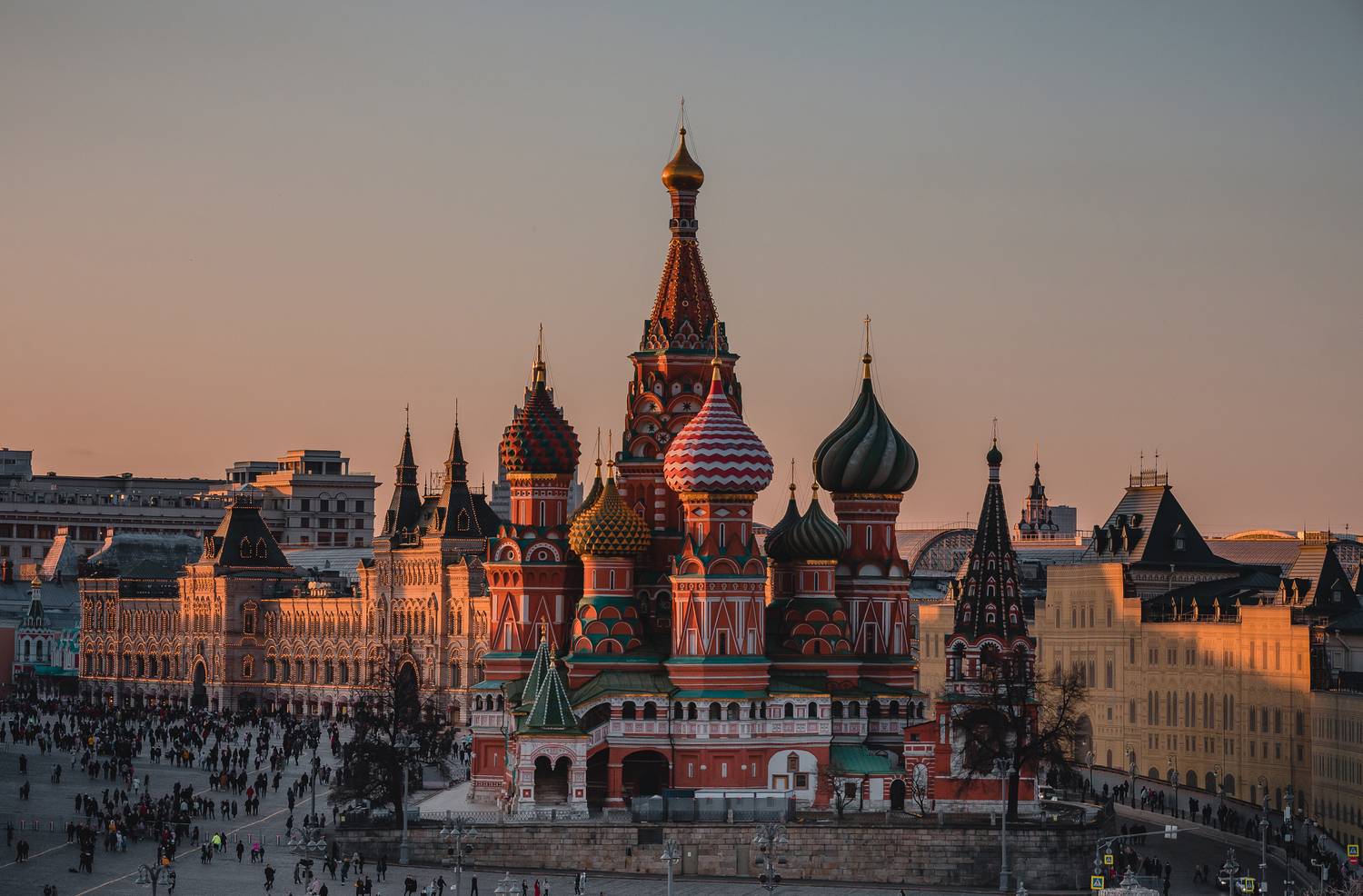 , Трепольский Дмитрий