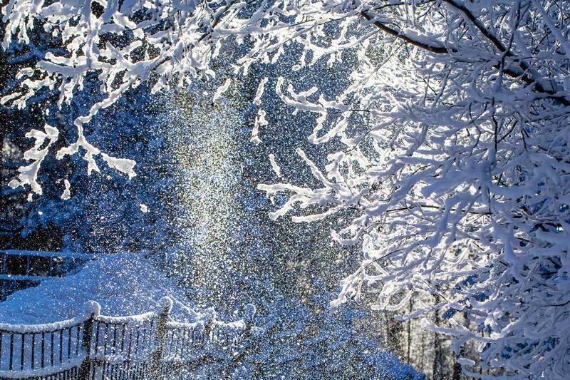 .... фото превью