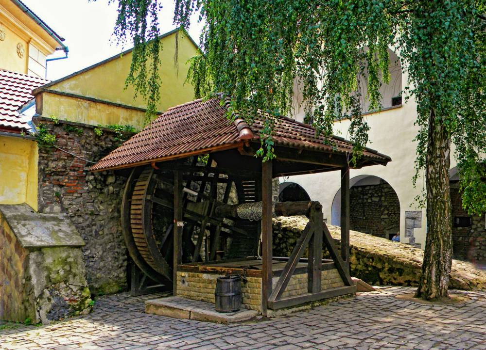 , Савоцкий Роман