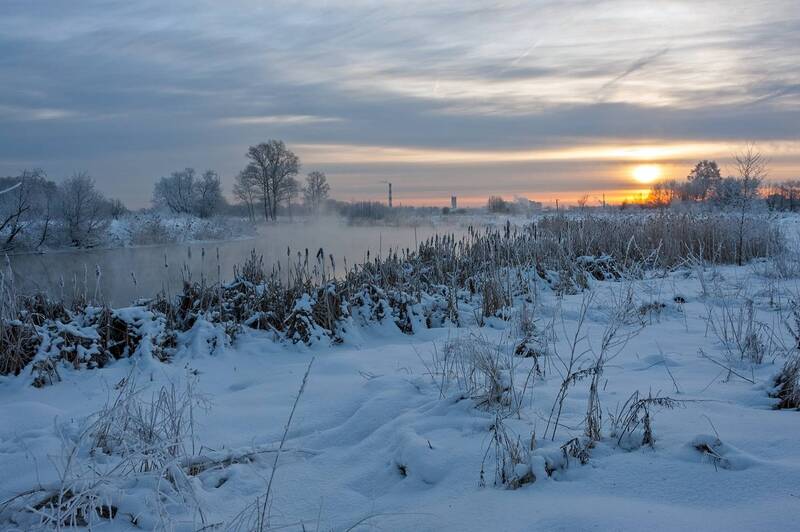 Февральским снежным утром фото превью