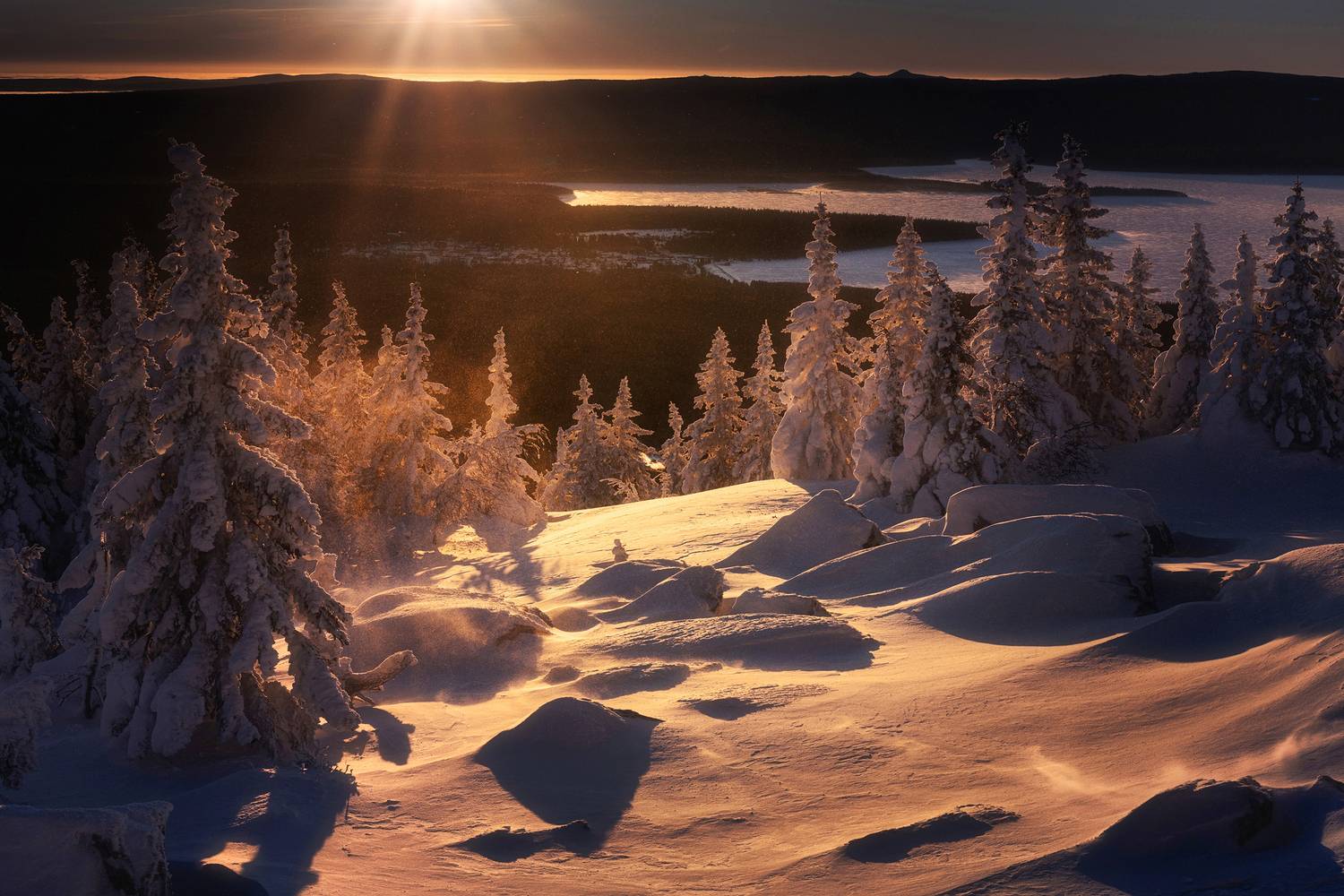 , Татьяна Бирюкова