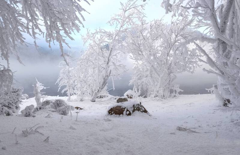 зима, мороз,  красноярск, иней, енисей, туман, деревья Зимняя сказка фото превью