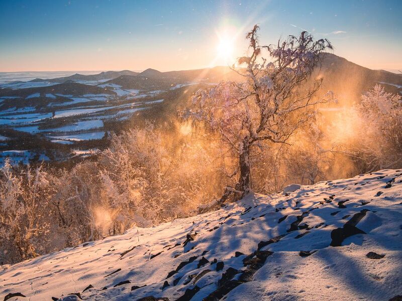 winter, wonderland,tree,snow,landscaspe,czechia Winter wonderland фото превью