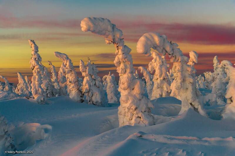 шерегеш, иней, пихты, гора зелёная, горная шория, зимний день, морозная дымка, снег, мороз, зима, сибирь Два состояния фото превью