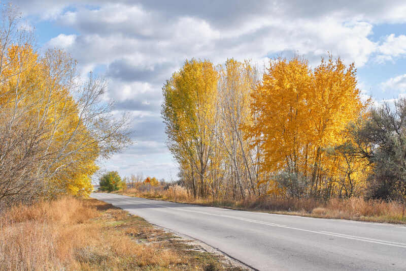 осень, желтый, волгоград, дорога,  Дорога в осень фото превью