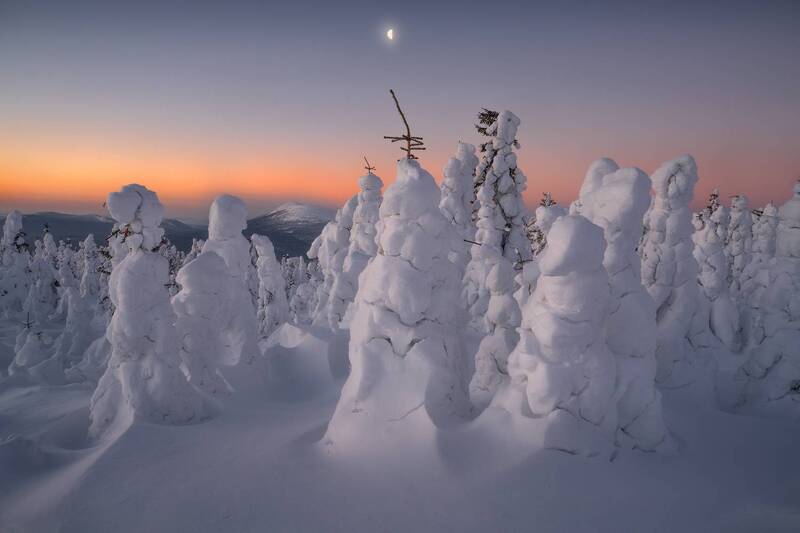 В утреннем безмолвии фото превью