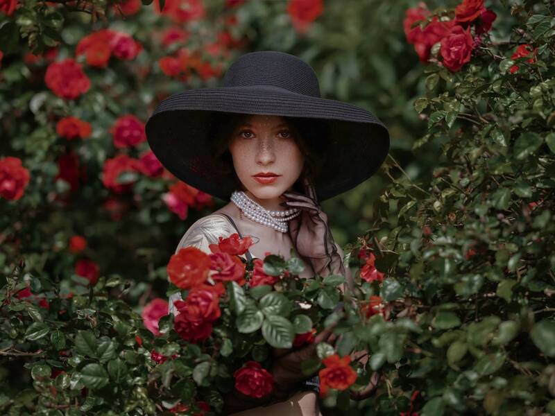 В розах фото превью