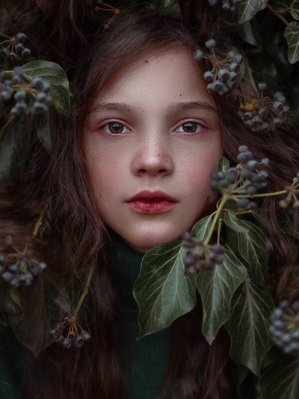 Плющ фото превью