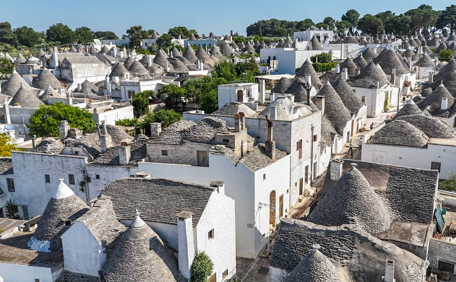 , Дария Максимова