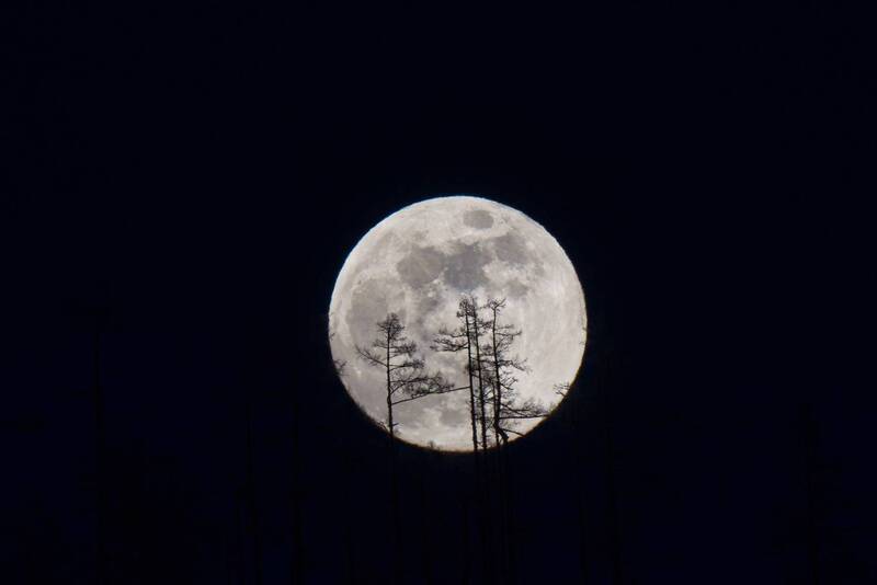 Полнолуние фото превью
