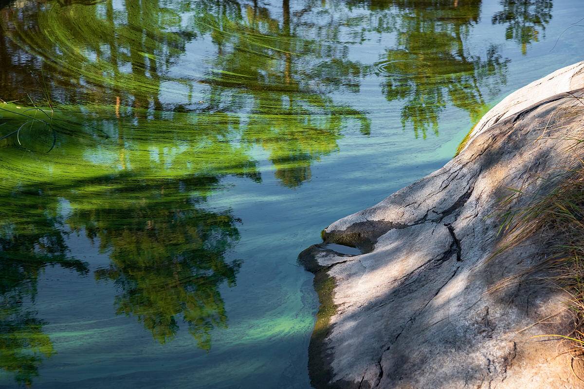 , Екатерина Васягина