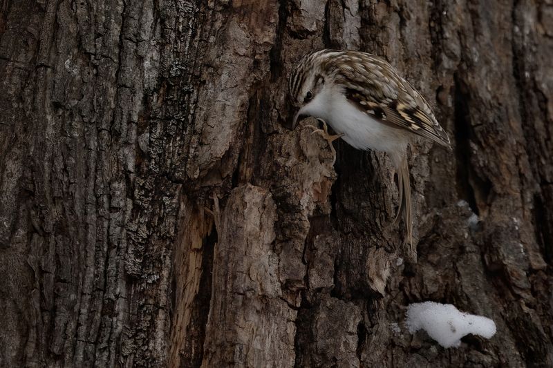 Отдых... фото превью