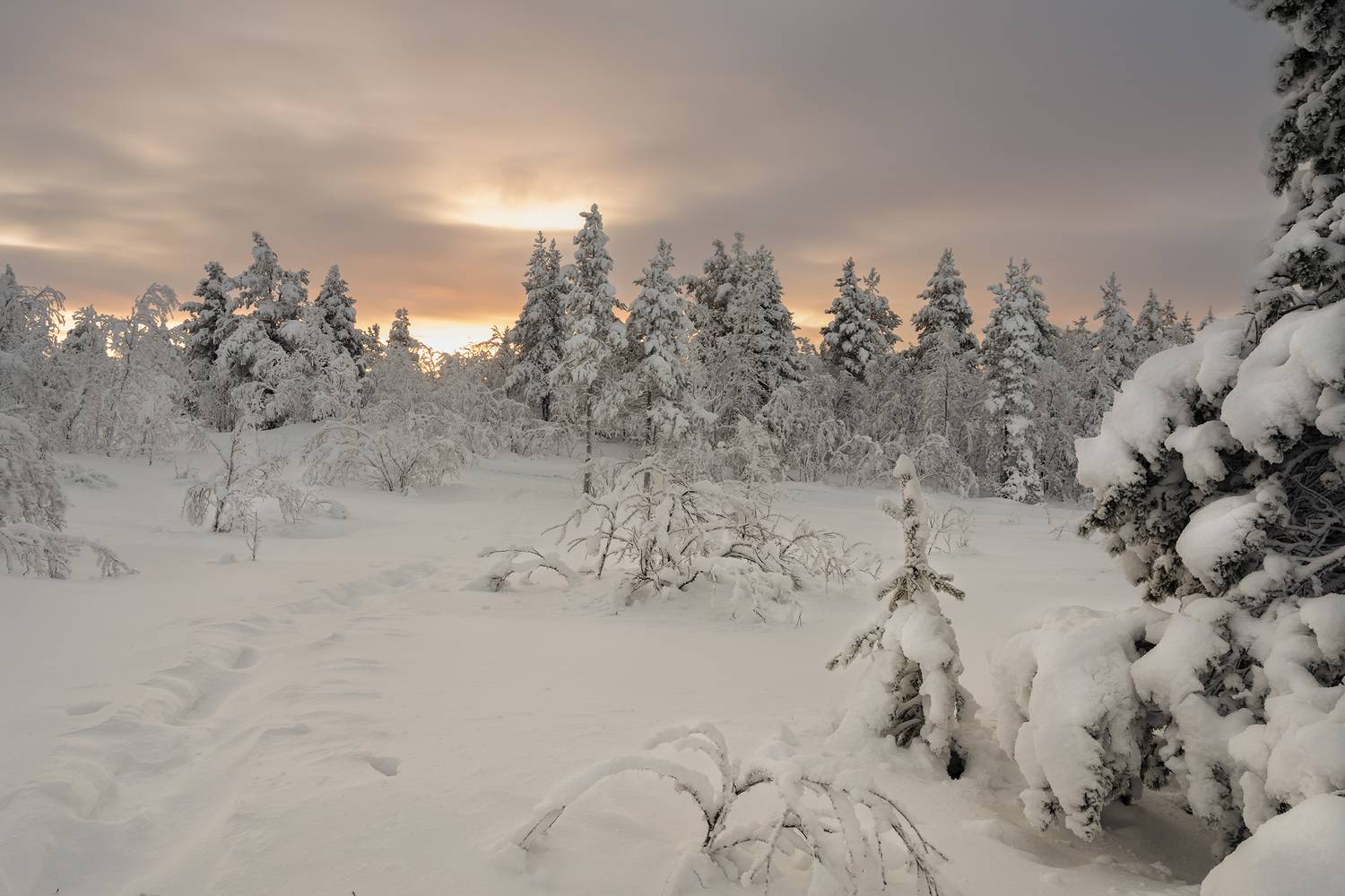 , Ворошилов Александр
