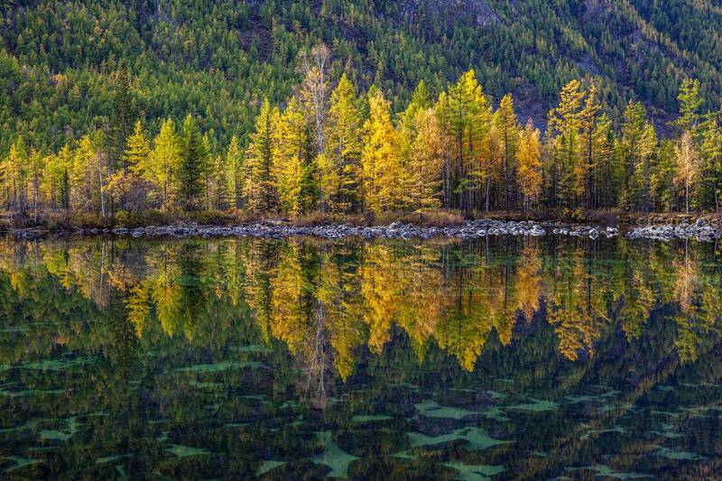 Долина лавовых озер. Шарза. Лесное отражение. фото превью