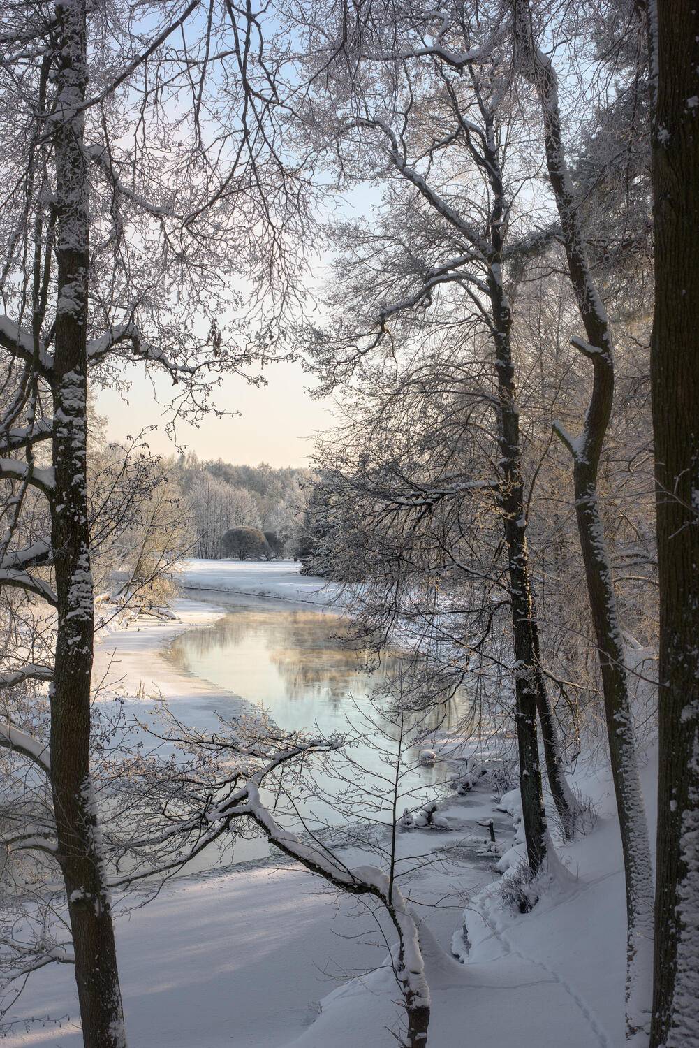 , Полина Хрол