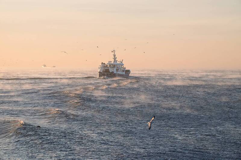 Парящая Балтика фото превью