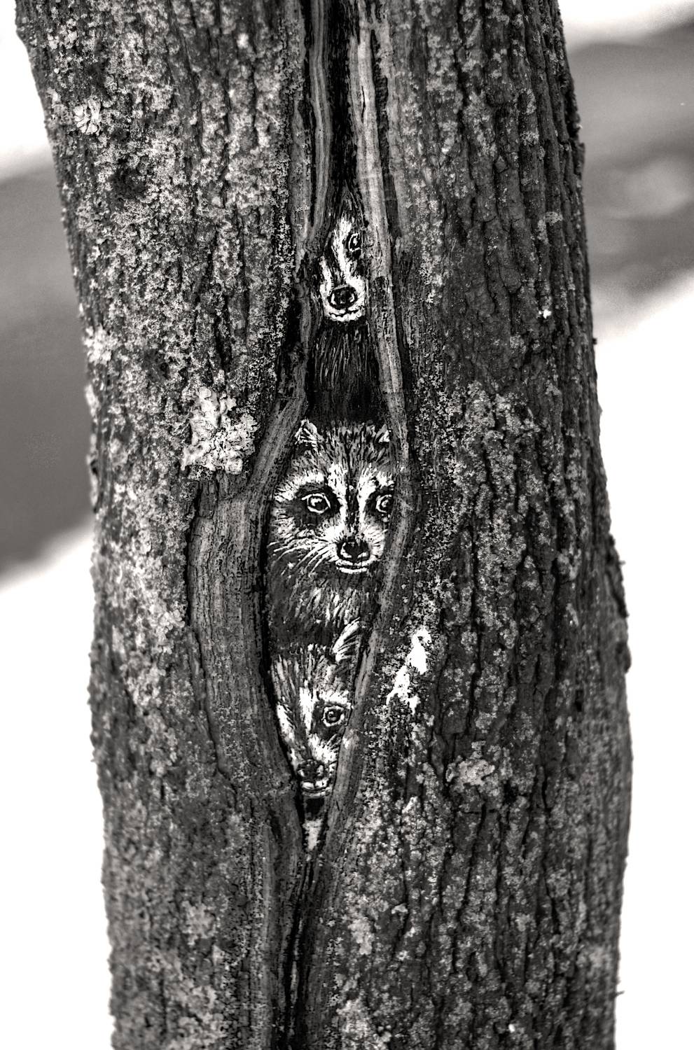 , Сергей Григорьев