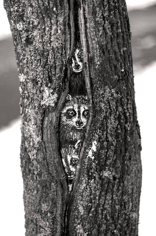 *** фото превью