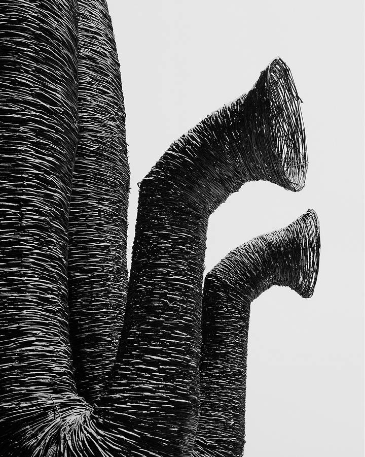 , Сергей Давыдов