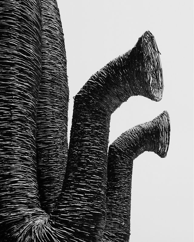 Babur фото превью