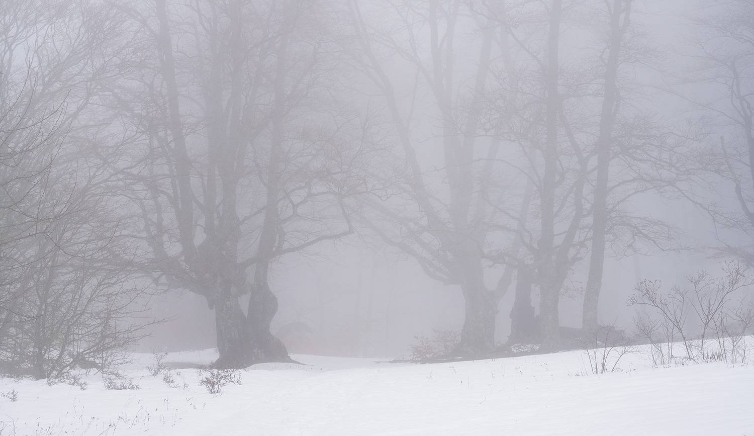 , Андрей Родионов