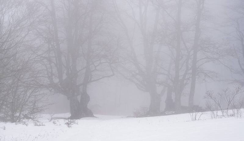 Крым фото превью