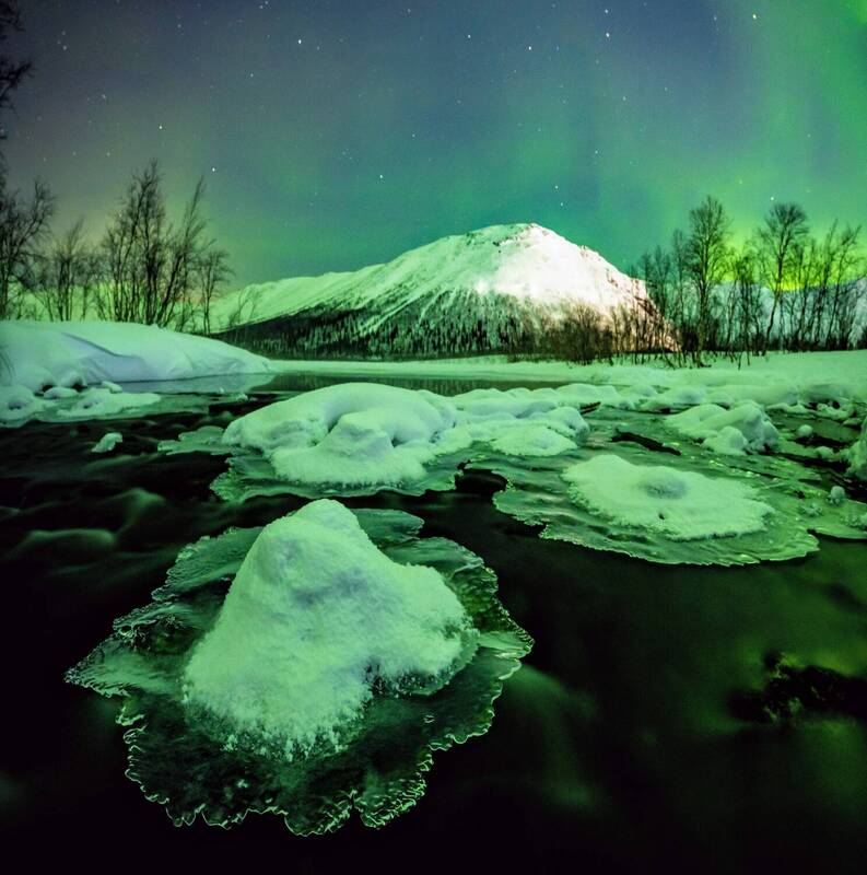 Ледяные медузы. фото превью