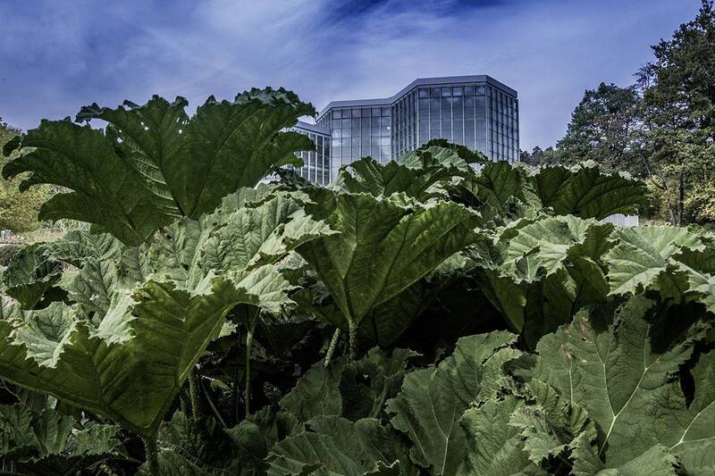 Botanischer Garten auf dem Universitätsgelände Thübingen. фото превью