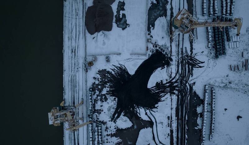 Феникс фото превью