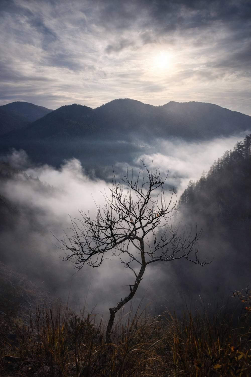 , Шилов Александр