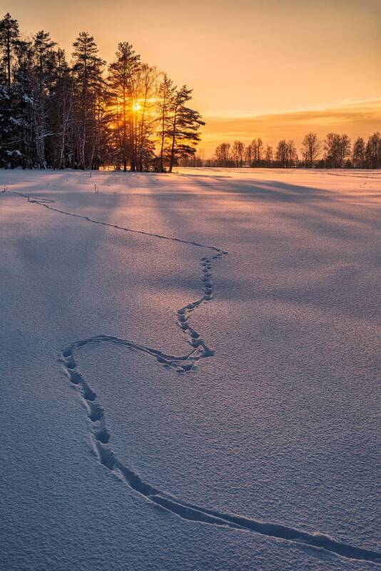 * фото превью