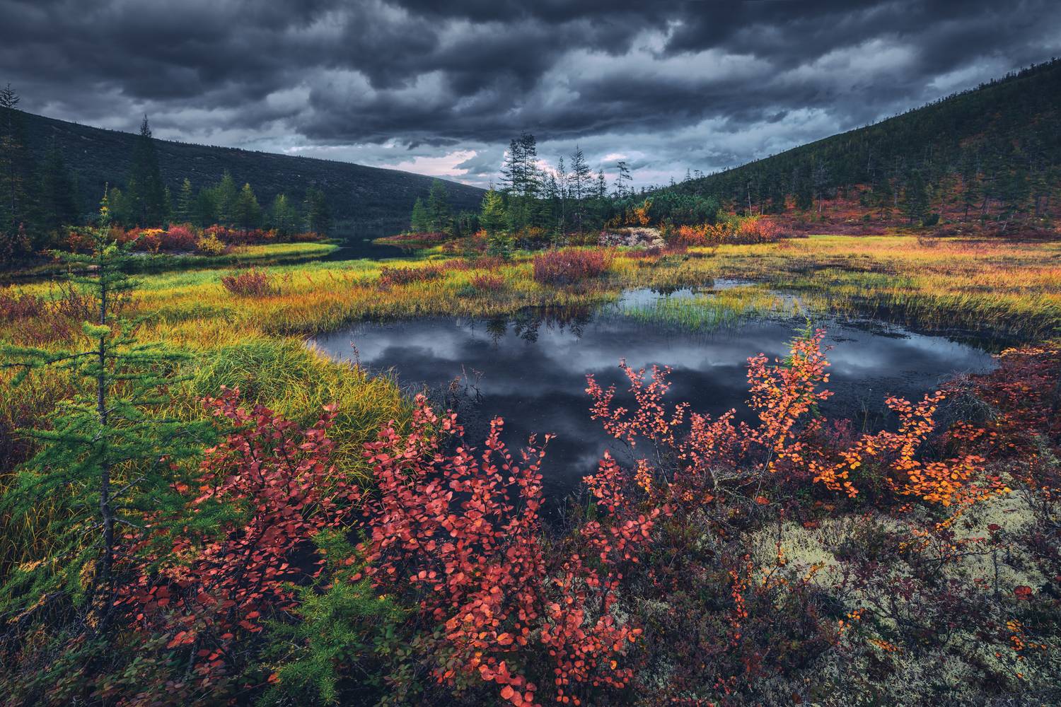 озеро джека лондона, Евдокимов Максим