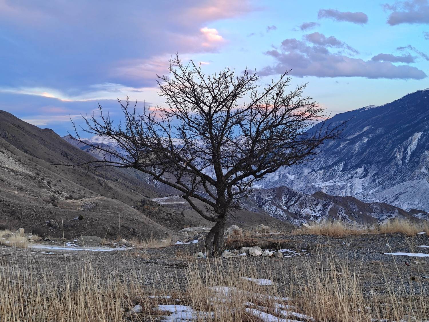 , Андрей Пучков