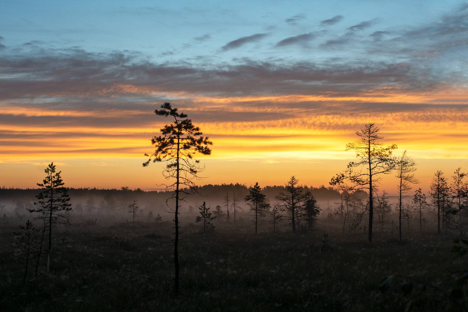 , Алёна Таланова